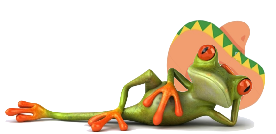 grenouille avec sombrero