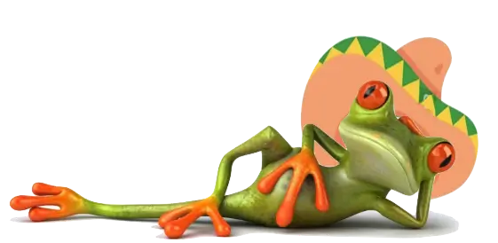 grenouille avec sombrero